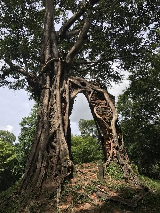 Areca Stay Siem Reap Zewnętrze zdjęcie