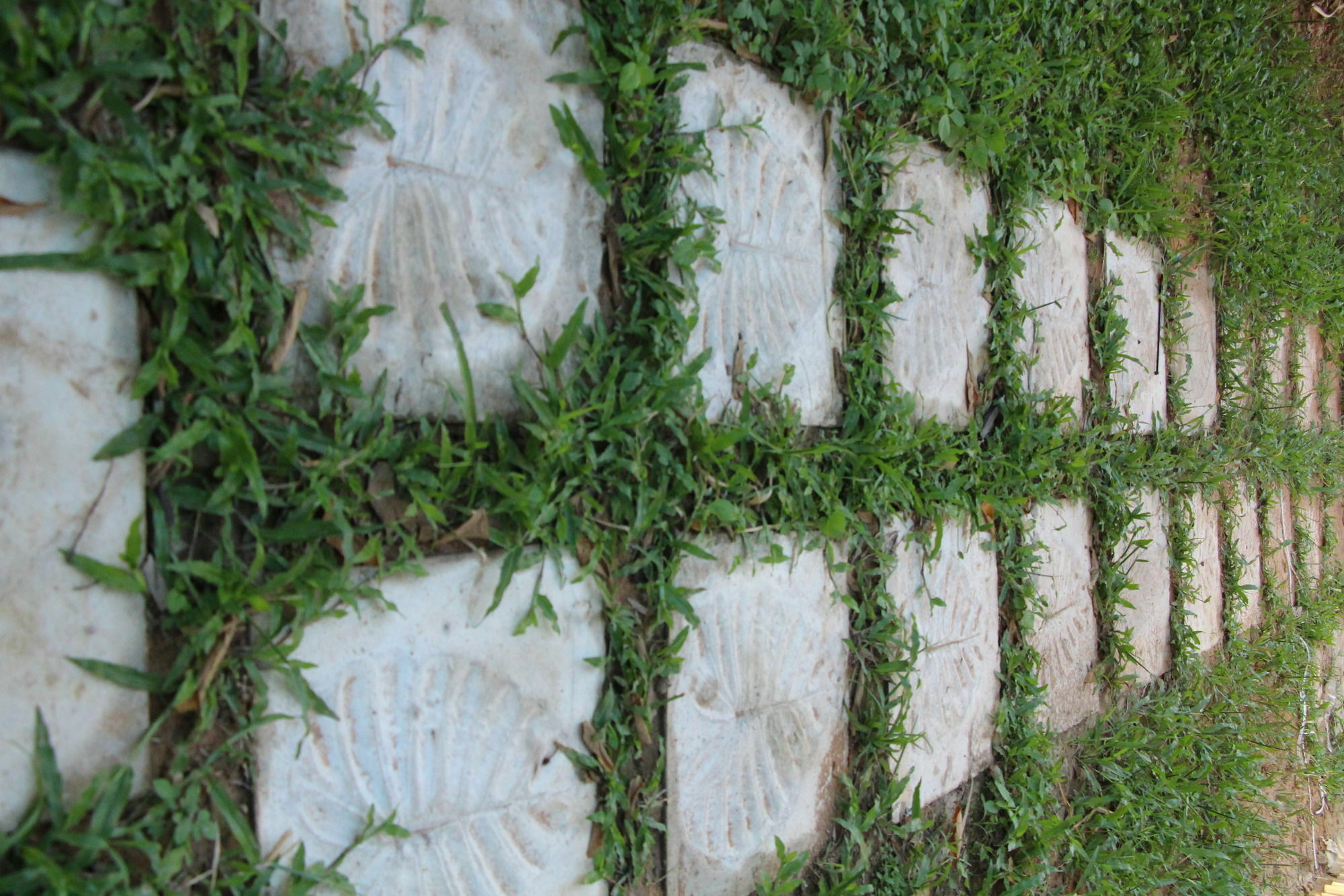Areca Stay Siem Reap Zewnętrze zdjęcie