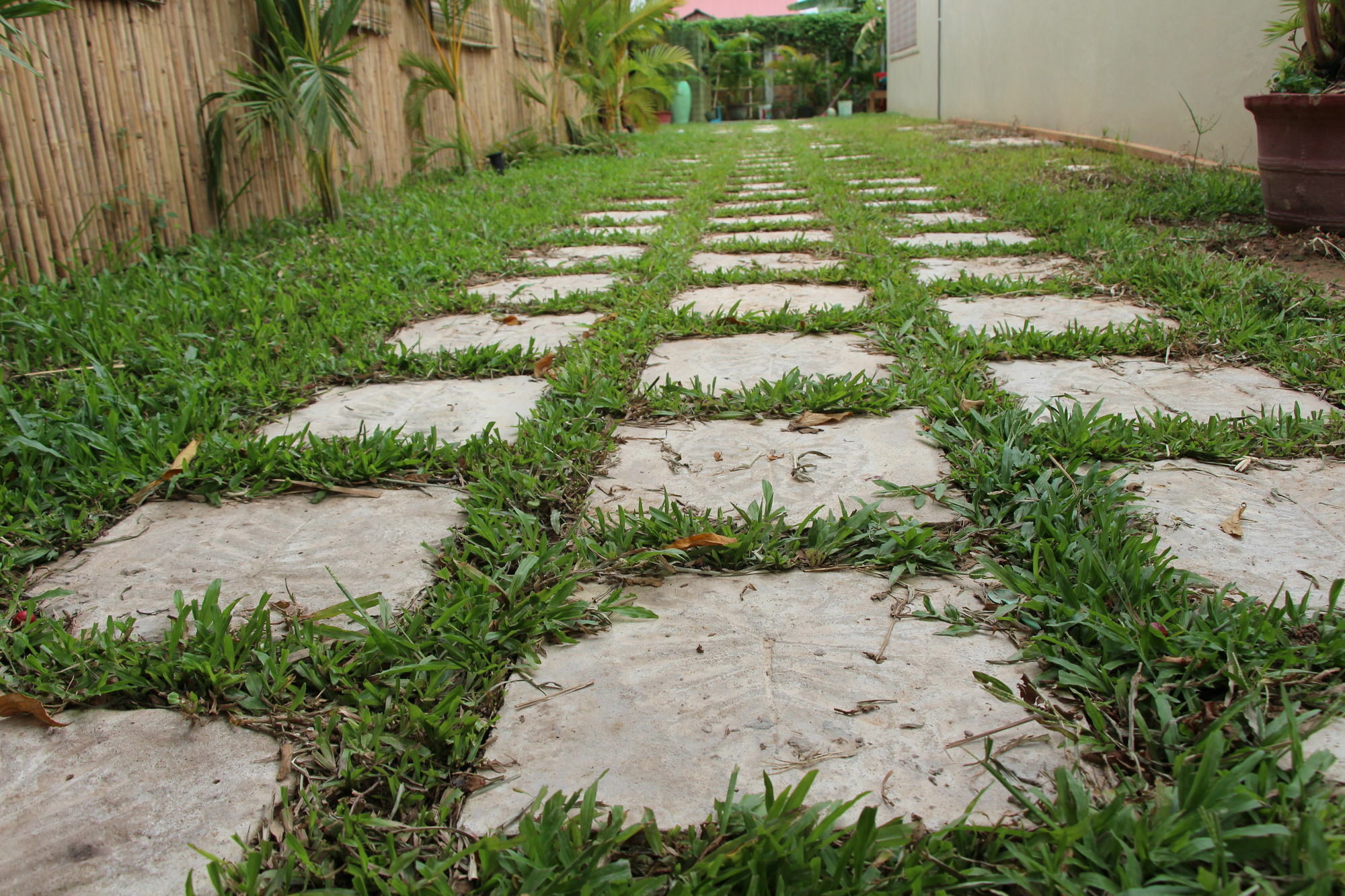 Areca Stay Siem Reap Zewnętrze zdjęcie
